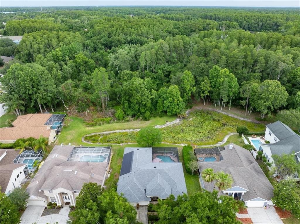4941 FELECITY WAY, PALM HARBOR, FL 34685 — zdjęcie 2
