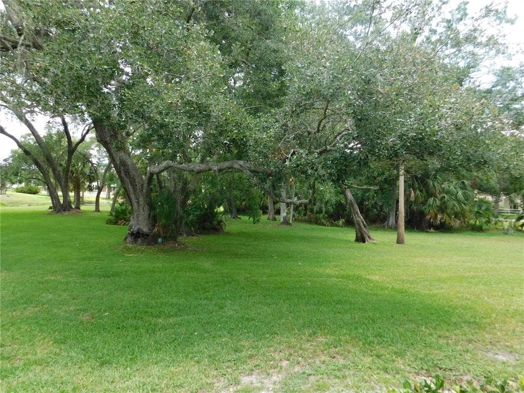 1400 TARPON WOODS BOULEVARD # 1-4, PALM HARBOR, FL 34685 — zdjęcie 4