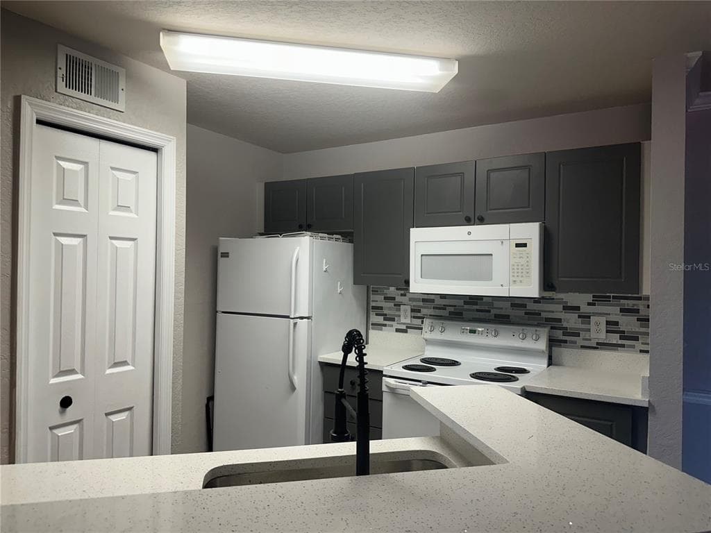 4209 WOODSTORKS WALK WAY # 1205, LUTZ, FL 33558 — zdjęcie 5
