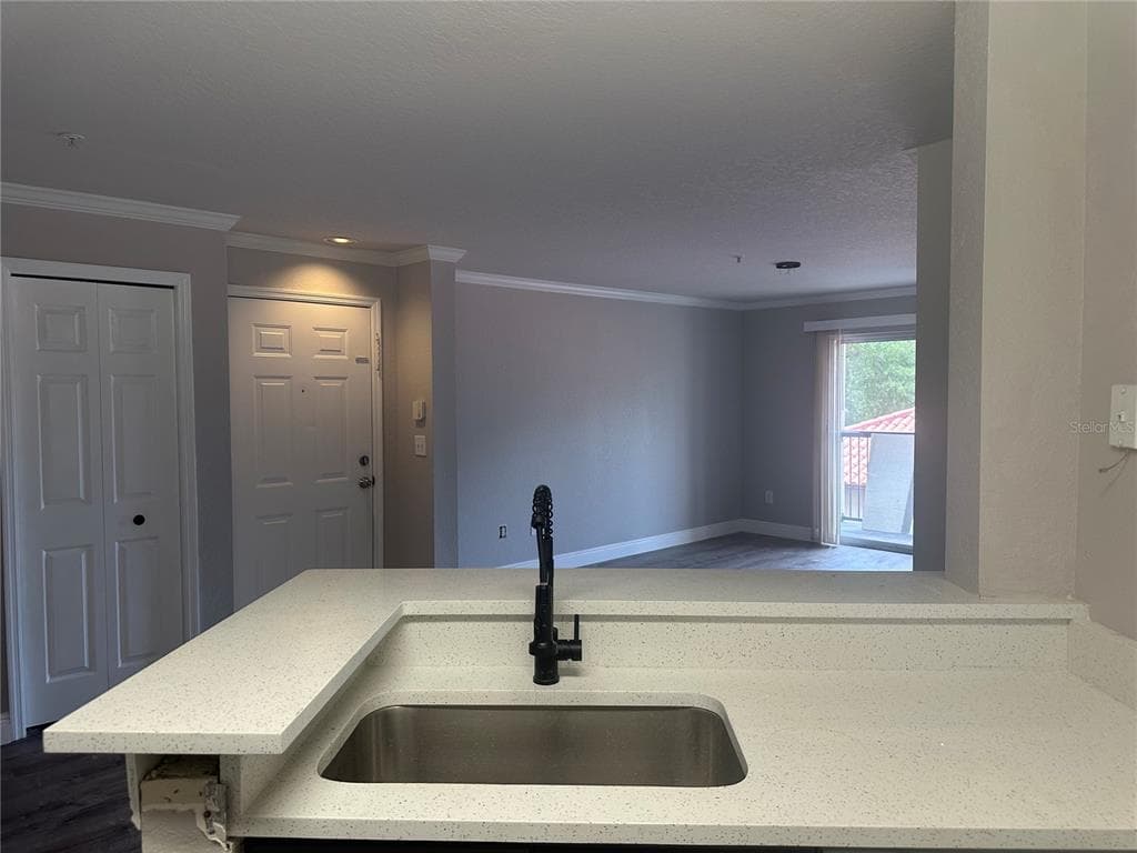 4209 WOODSTORKS WALK WAY # 1205, LUTZ, FL 33558 — zdjęcie 4