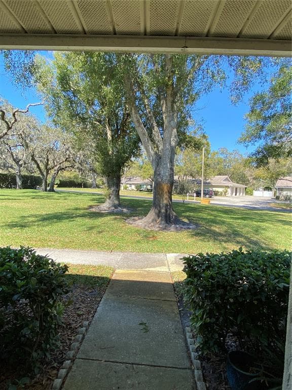 1059 DUNROBIN DRIVE # B, PALM HARBOR, FL 34684 — zdjęcie 3