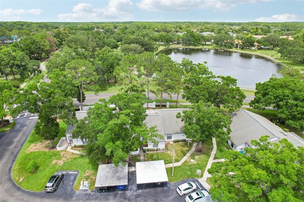 3878 TANAGER PLACE, PALM HARBOR, FL 34685 — zdjęcie 2