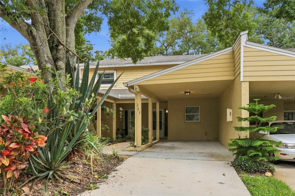 205 SOMERSET LANE, PALM HARBOR, FL 34684