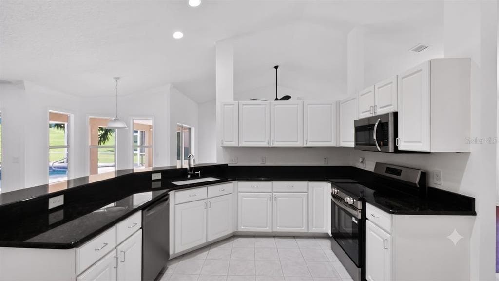 3325 INDIAN TRAIL, EUSTIS, FL 32726 — zdjęcie 3