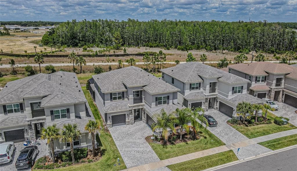 32353 ROSEWOOD MEADOW LANE, WESLEY CHAPEL, FL 33543 — zdjęcie 2
