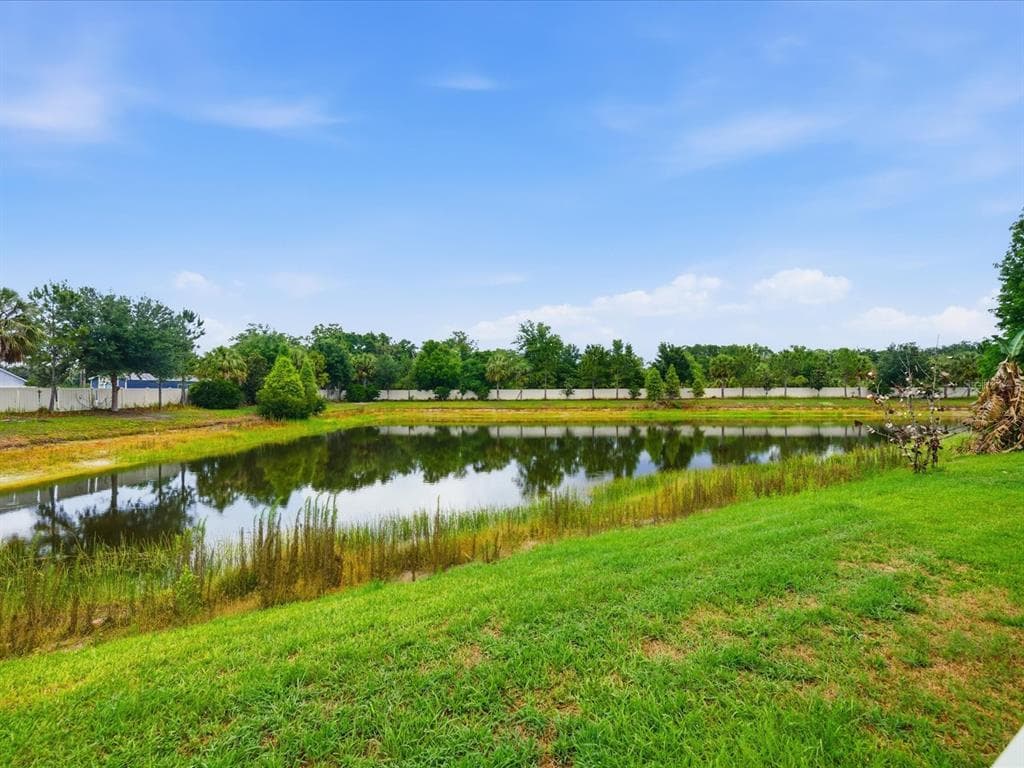 17735 BRIGHT WHEAT DRIVE, LITHIA, FL 33547 — zdjęcie 4