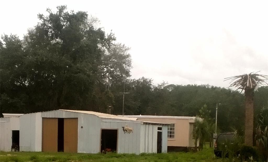 17936 SE 95TH STREET ROAD, OCKLAWAHA, FL 32179 — zdjęcie 3