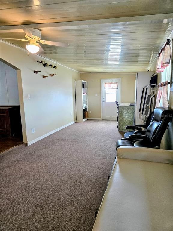 6253 BALMY LANE, ZEPHYRHILLS, FL 33542 — zdjęcie 3