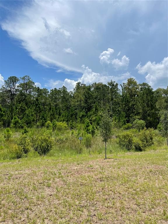 7630 BENT TREE LOOP, ST CLOUD, FL 34771 — zdjęcie 4