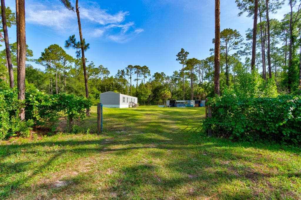 5074 BUTTERNUT AVENUE, BUNNELL, FL 32110 — zdjęcie 4