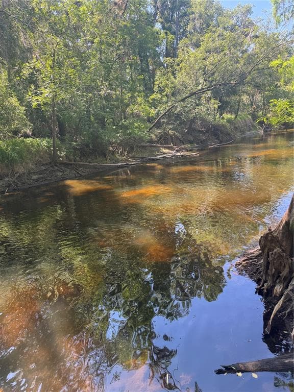 4405 COCONUT COVE PLACE, VALRICO, FL 33596 — zdjęcie 4