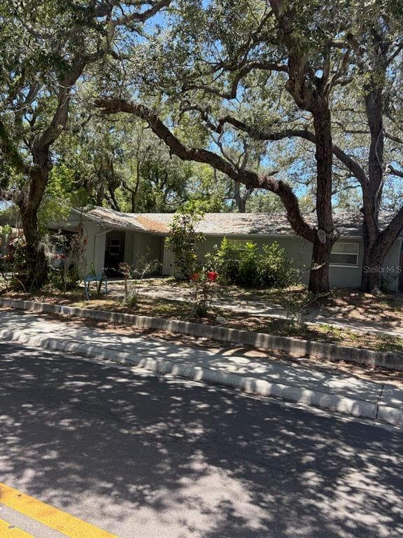 439 E MARTIN LUTHER KING JR DRIVE, TARPON SPRINGS, FL 34689 — zdjęcie 3