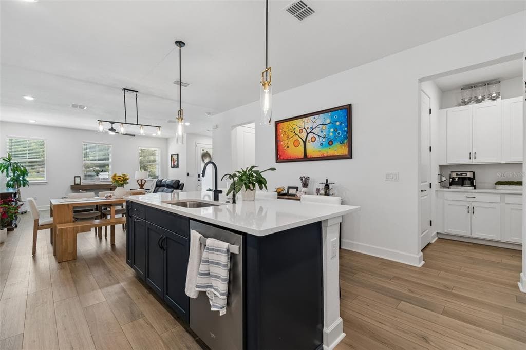 2021 AMELIA BAY PLACE, VALRICO, FL 33596 — zdjęcie 5