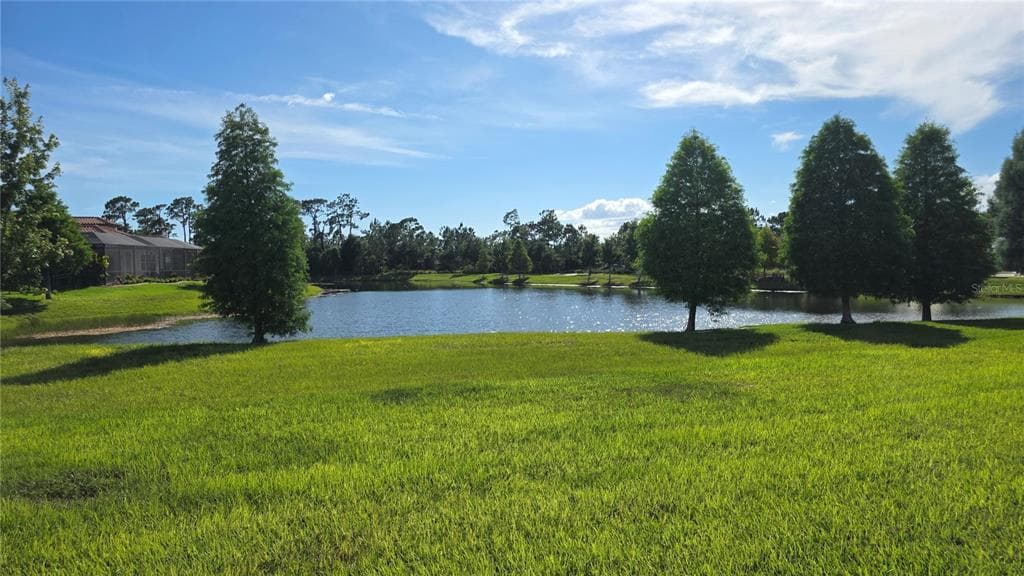11911 SAND MYRTLE ROAD, RIVERVIEW, FL 33579 — zdjęcie 4