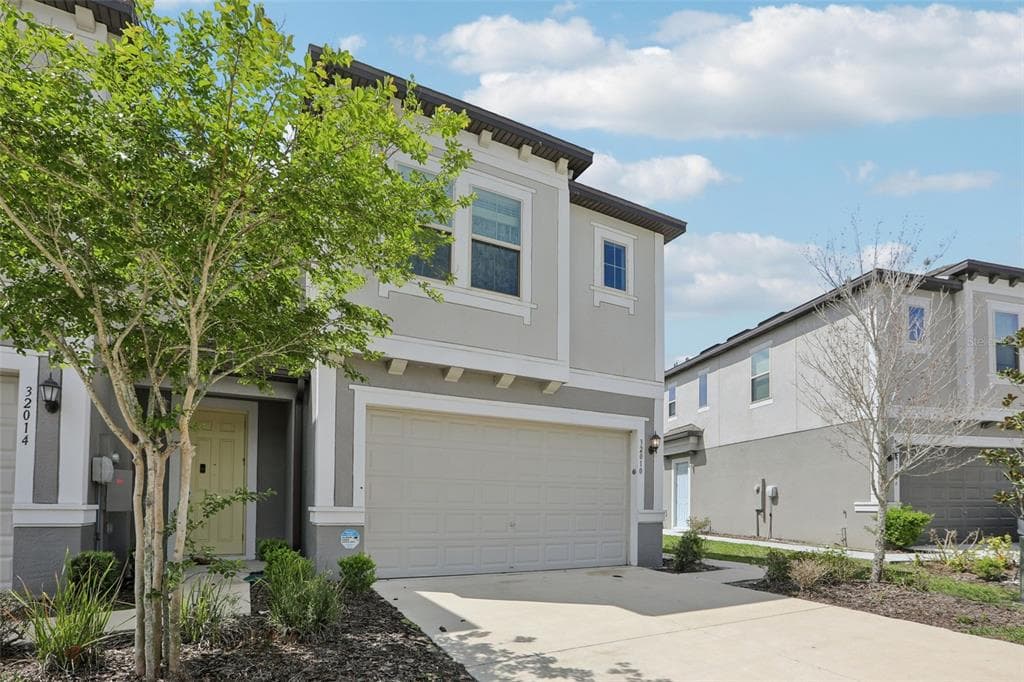 32010 BLUE PASSING LOOP, WESLEY CHAPEL, FL 33545