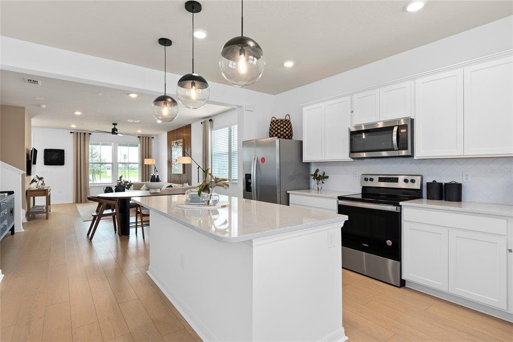 1143 LEMONGRASS ALLEY, ORLANDO, FL 32820 — zdjęcie 3