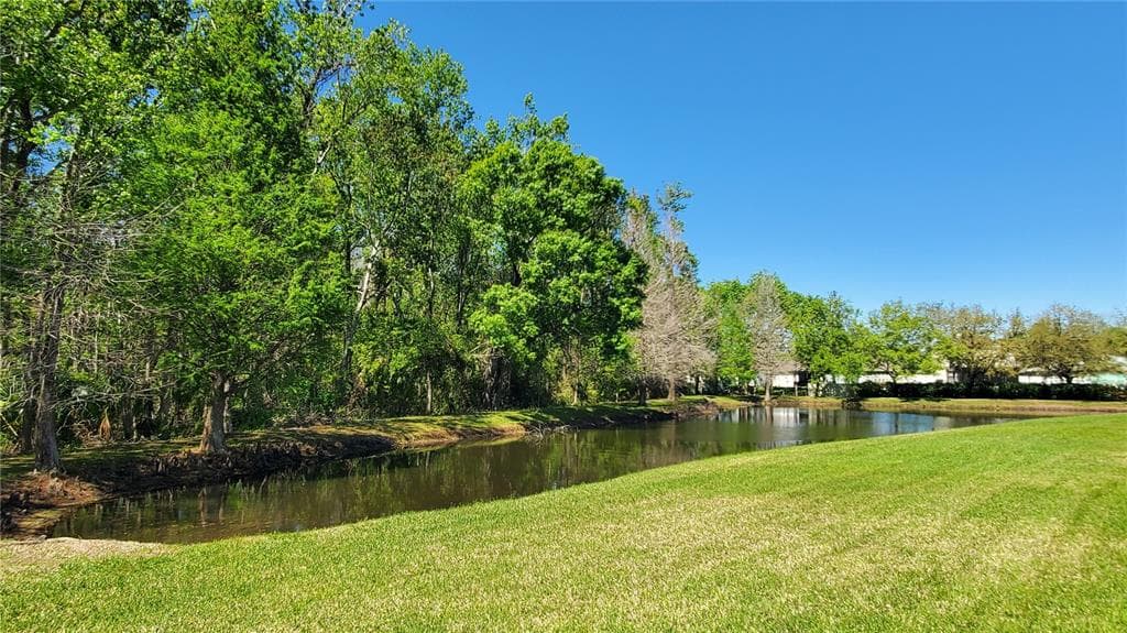 4535 WINDING RIVER WAY, LAND O LAKES, FL 34639 — zdjęcie 5