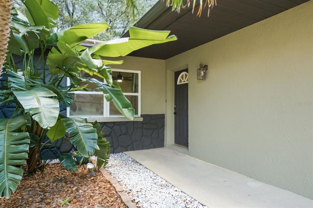 442 EVERGREEN DRIVE, OLDSMAR, FL 34677 — zdjęcie 5