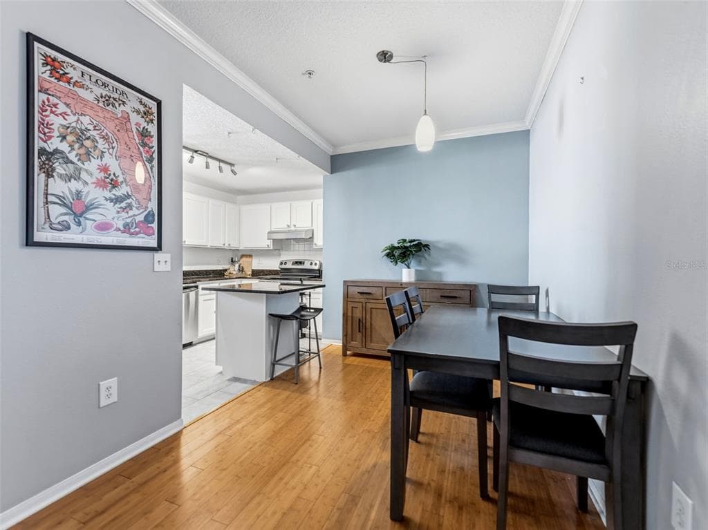 501 KNIGHTS RUN AVENUE # 1325, TAMPA, FL 33602 — zdjęcie 3