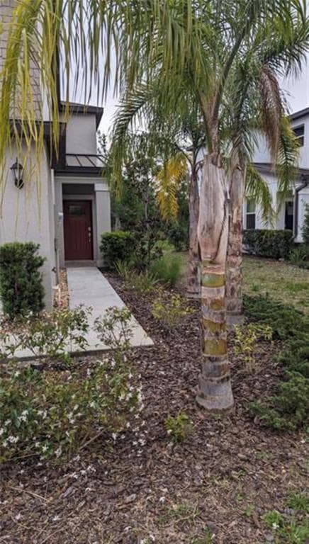 1384 WHITE FOX RUN, LUTZ, FL 33549 — zdjęcie 2
