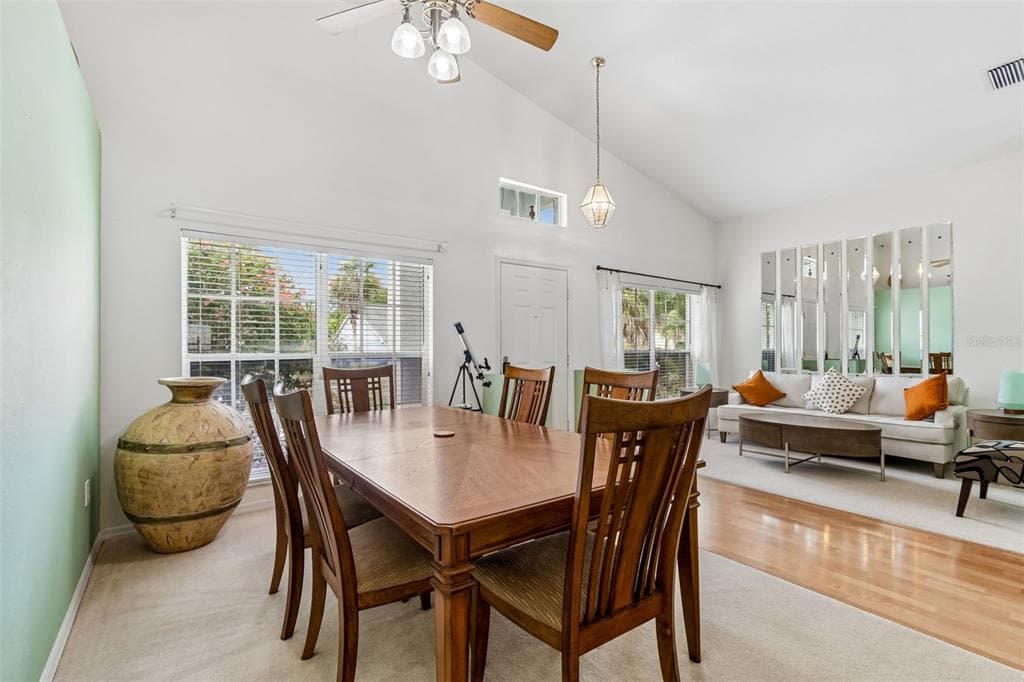 923 HUNTER LANE, TARPON SPRINGS, FL 34689 — zdjęcie 5