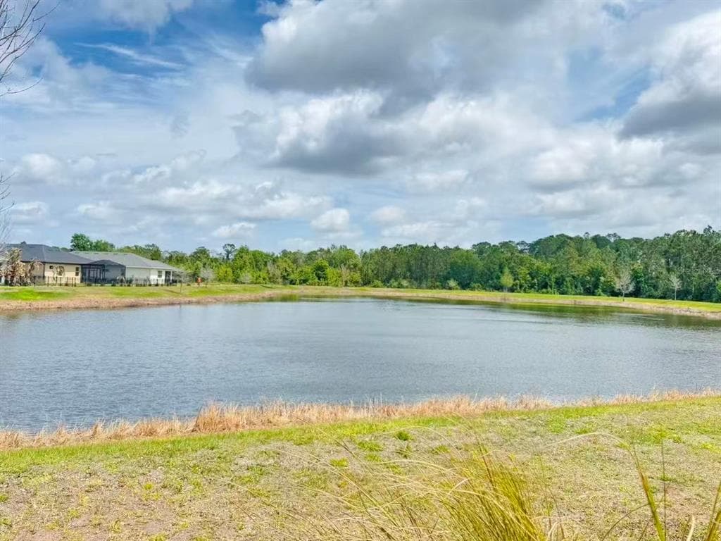 3434 SAGEBRUSH STREET, HARMONY, FL 34773 — zdjęcie 2