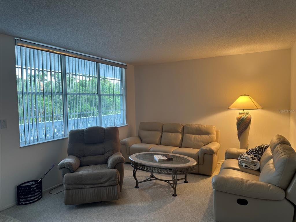 4720 LOCUST STREET NE # 314, ST PETERSBURG, FL 33703 — zdjęcie 4