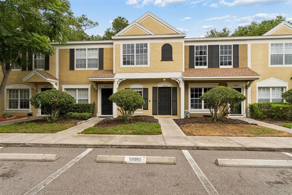 30005 GRANDA HILLS COURT, WESLEY CHAPEL, FL 33543
