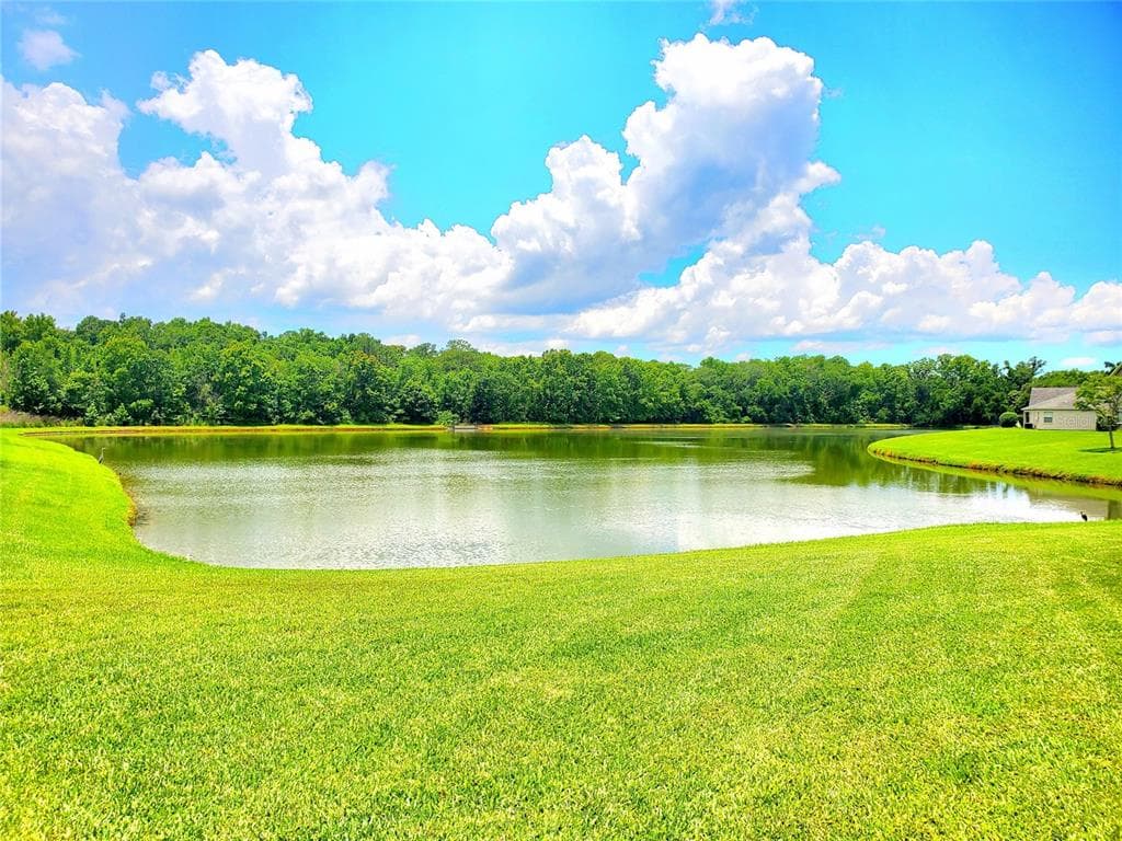 25644 FRITH STREET, LAND O LAKES, FL 34639 — zdjęcie 5
