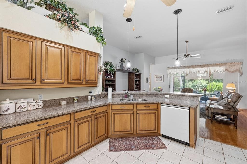 19720 MORDEN BLUSH DRIVE, LUTZ, FL 33558 — zdjęcie 5