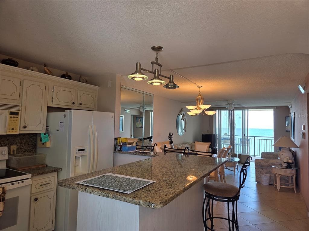 9 HAIG PLACE # 405, DUNEDIN, FL 34698 — zdjęcie 5