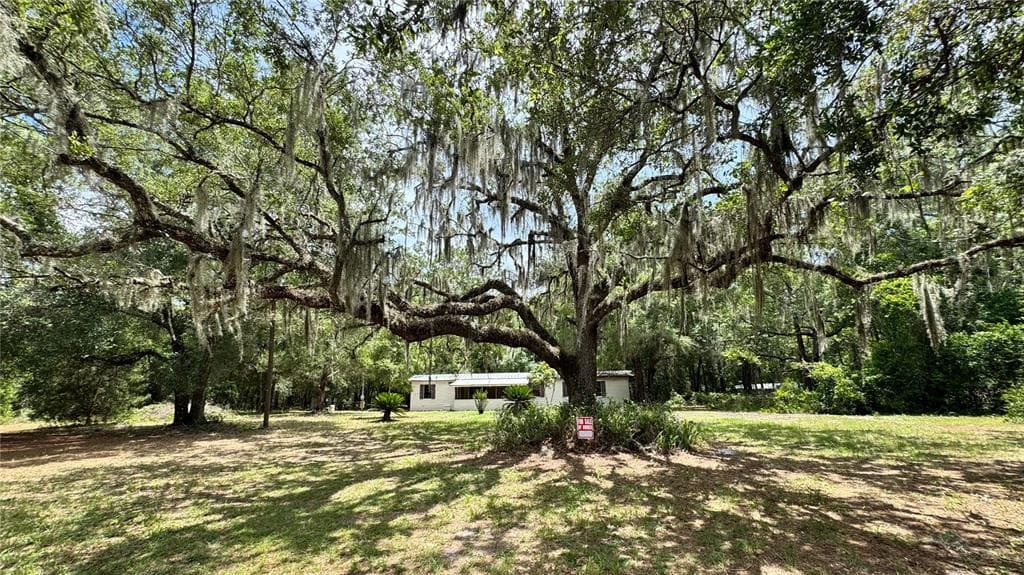 11286 E HIGHWAY 25, BELLEVIEW, FL 34420 — zdjęcie 4
