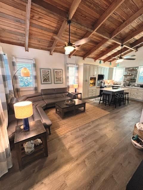 525 LEXINGTON STREET, DUNEDIN, FL 34698 — zdjęcie 5