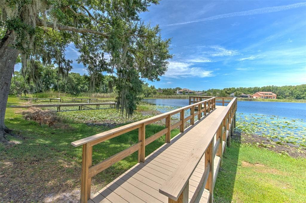 2459 SHOREWOOD LANE, LAND O LAKES, FL 34639 — zdjęcie 5