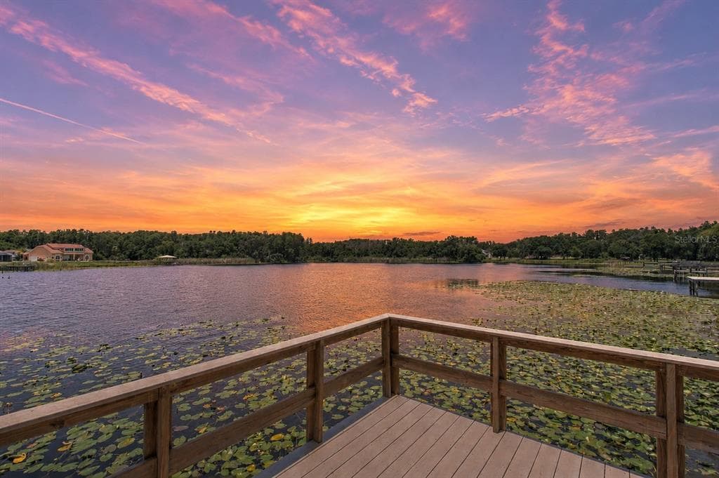 2459 SHOREWOOD LANE, LAND O LAKES, FL 34639 — zdjęcie 4