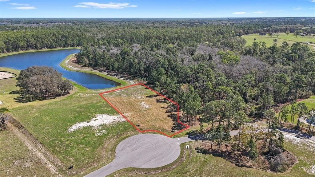 20280 SHORELINE RANCH LANE, UMATILLA, FL 32784 — zdjęcie 5