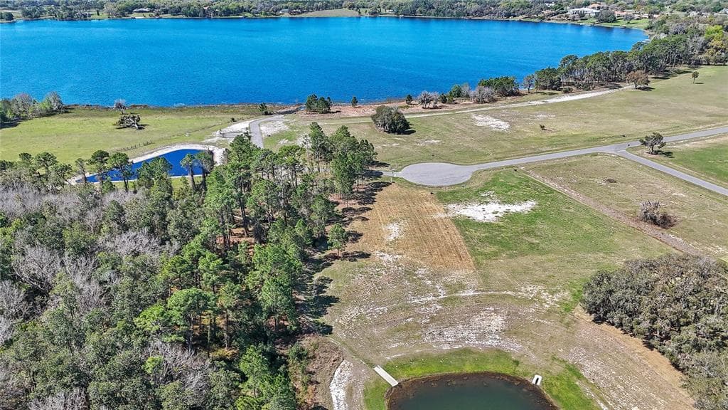 20280 SHORELINE RANCH LANE, UMATILLA, FL 32784 — zdjęcie 4