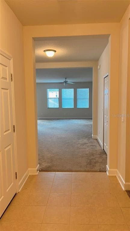 2931 SHETLAND RIDGE DRIVE, VALRICO, FL 33596 — zdjęcie 4