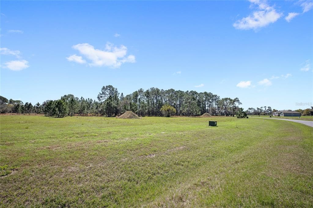 38514 WOODED MEADOW DRIVE, UMATILLA, FL 32784 — zdjęcie 5