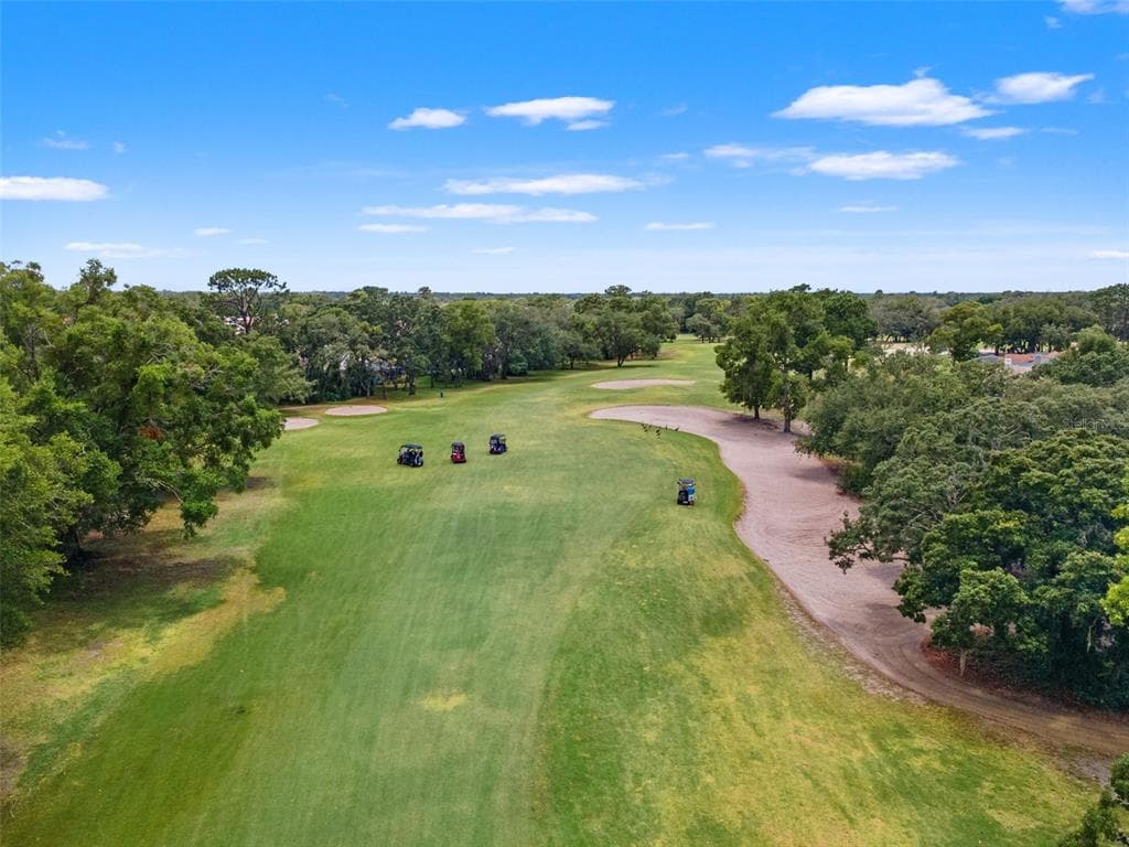 9419 NEW ORLEANS DRIVE, WEEKI WACHEE, FL 34613 — zdjęcie 3