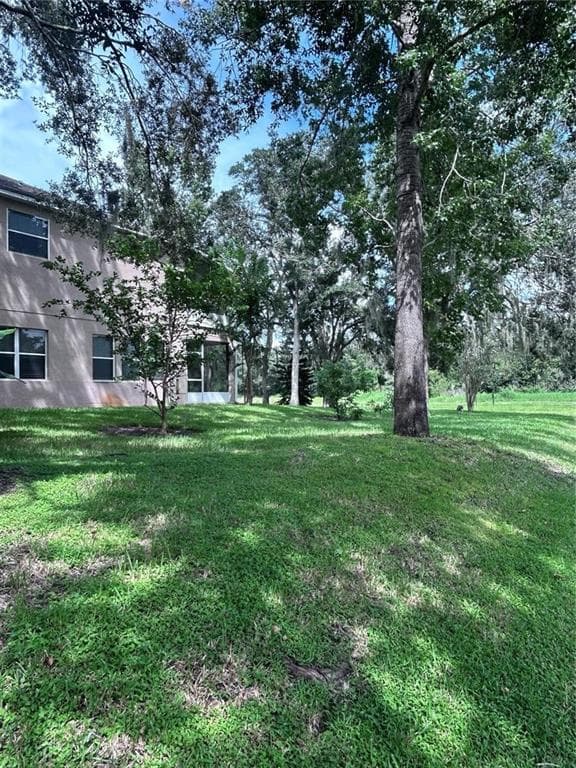 1531 MCCREA DRIVE, LUTZ, FL 33549 — zdjęcie 5
