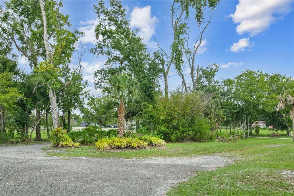 2650 20 MILE LEVEL ROAD, LAND O LAKES, FL 34639 — zdjęcie 5