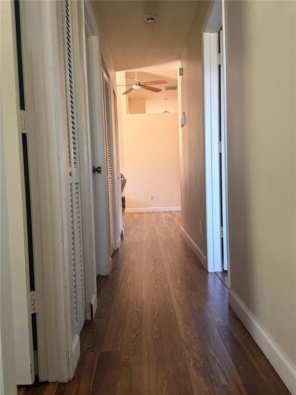 650 BELLINGHAM PLACE, PALM HARBOR, FL 34684 — zdjęcie 5