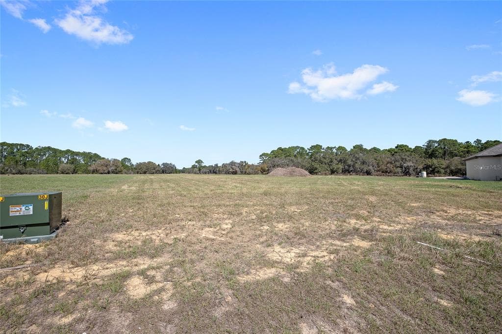 38361 LAKE MEADOW COURT, UMATILLA, FL 32784 — zdjęcie 5
