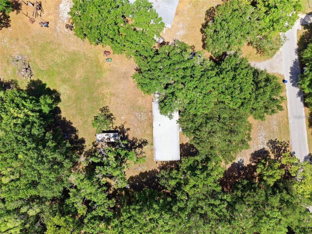 17214 CHINABERRY ROAD, LUTZ, FL 33558