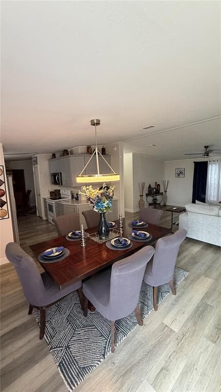 747 ISLAND STREET, DAVENPORT, FL 33897 — zdjęcie 2