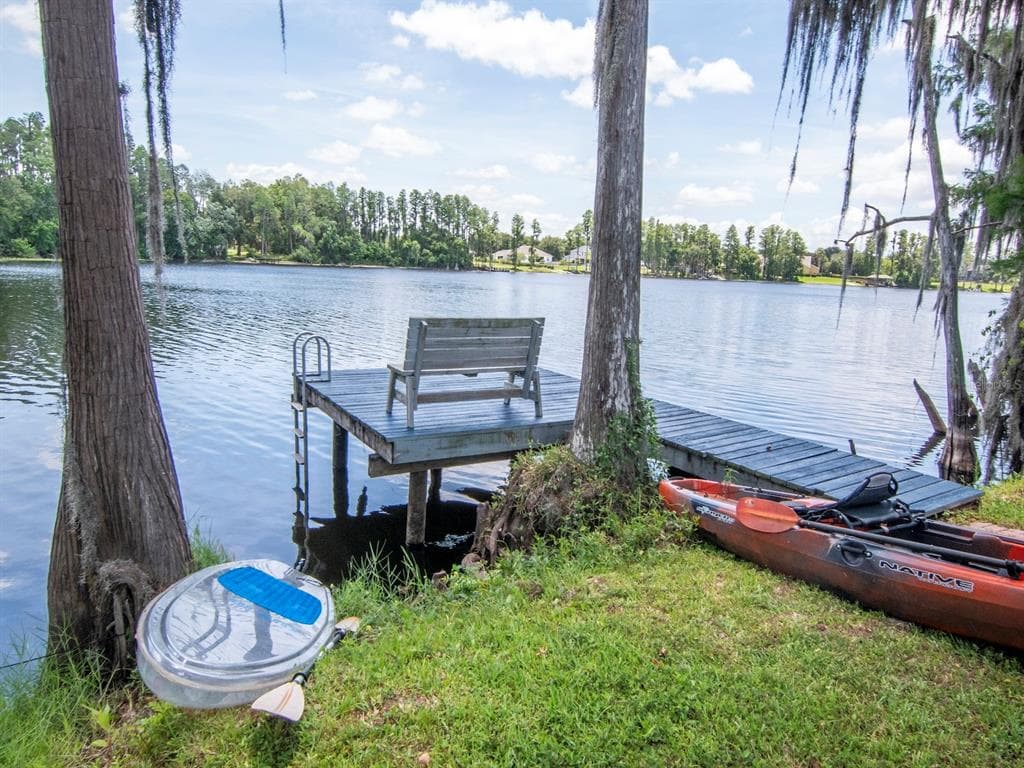 219 WILLOW BEND PARKWAY, LUTZ, FL 33549 — zdjęcie 2