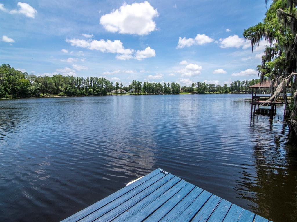 219 WILLOW BEND PARKWAY, LUTZ, FL 33549