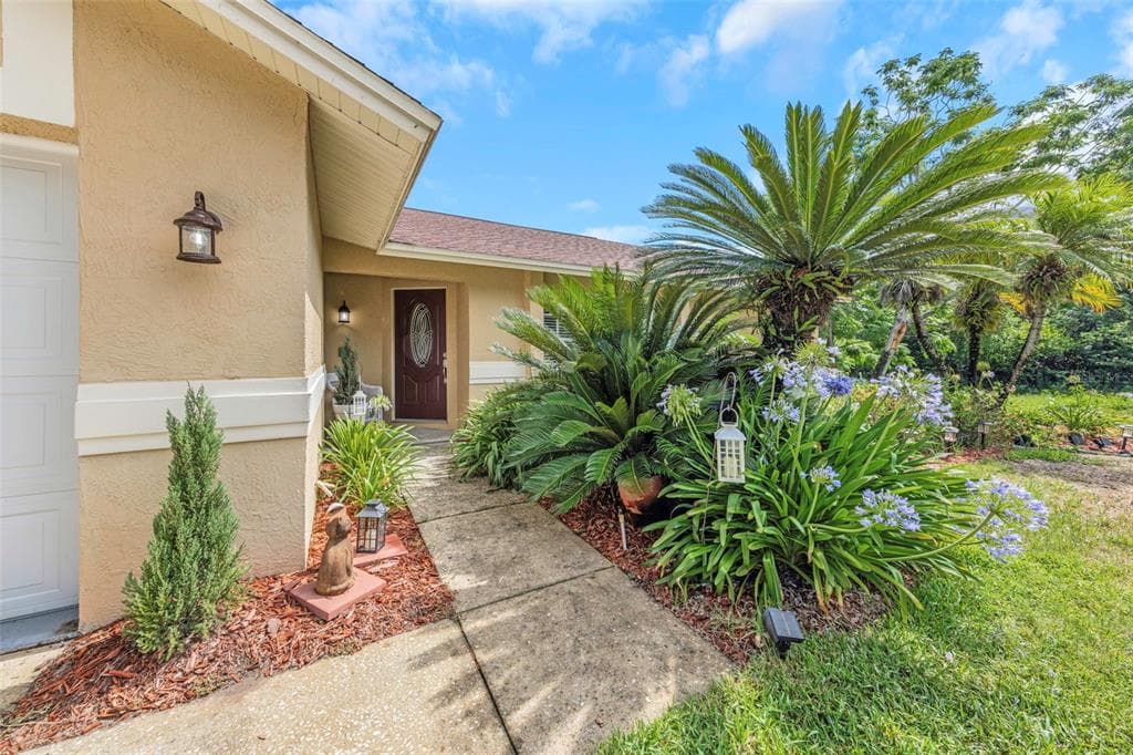 2437 HAWK AVENUE, PALM HARBOR, FL 34683 — zdjęcie 2