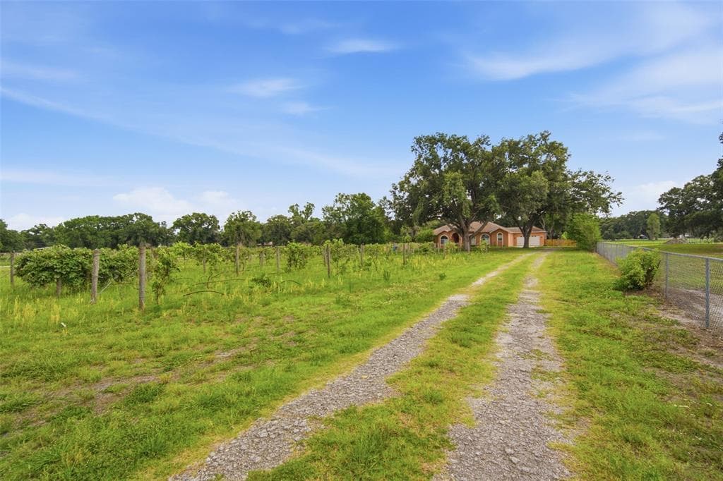 6611 W KNIGHTS GRIFFIN ROAD, PLANT CITY, FL 33565 — zdjęcie 2